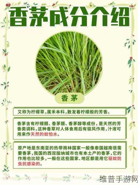 小扫货水能么多叫出来骨科宣称免费：当然可以，以下是一些相关的标题建议：