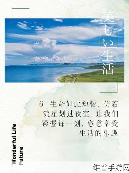 及时行乐1V2:1. 享受生活的每一刻,追求心中的快乐