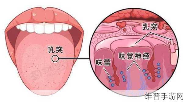 家里什么东西可以代替舌头：1. 家庭用品中的“舌头”替代品大揭秘