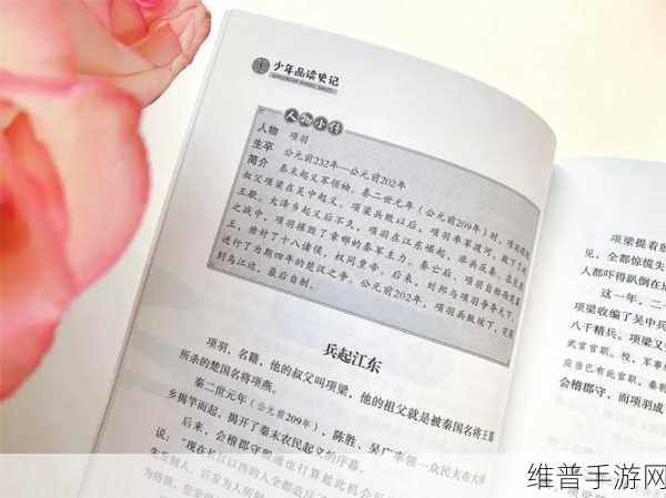 舌战玉门的技巧和方法：1. 以舌战玉门为鉴，掌握辩论艺术的巧妙技巧
