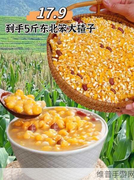 开荤之后金粥：开荤之后金粥：美味与健康的完美结合