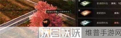 明日之后手游攻略，樱花种子获取全解析