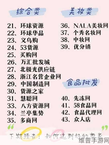 成品网站w灬源码1688：1. 轻松获取1688成品网站源码，助力电商创业