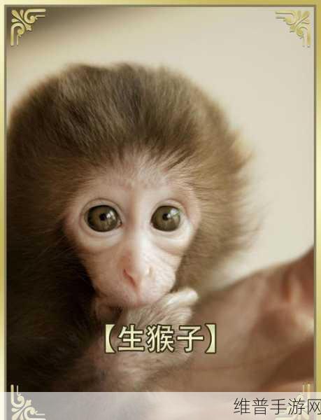 打生猴子软件免费：当然可以！以下是一些基于“打生猴子”软件的标题建议：