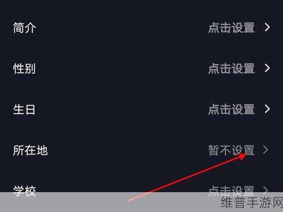 抖音位置定位设置全攻略，手游公司视角的深度解析