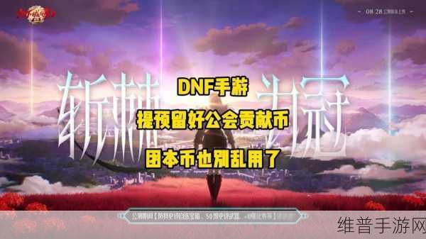 DNF手游攻略，快速攒取工会贡献币的全方位指南