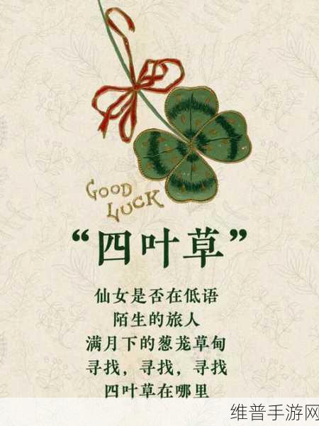 四叶草欧洲和国产区别：四叶草欧洲版与国产版的性能差异分析
