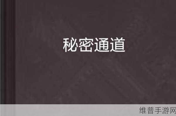 秘密通道3秒自动跳转不会很卡：1. 三秒自动跳转，畅享无阻的秘密通道体验