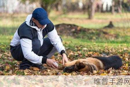 玩人狗大战的实现方法：1. 《玩人狗大战：智慧与勇气的终极对决