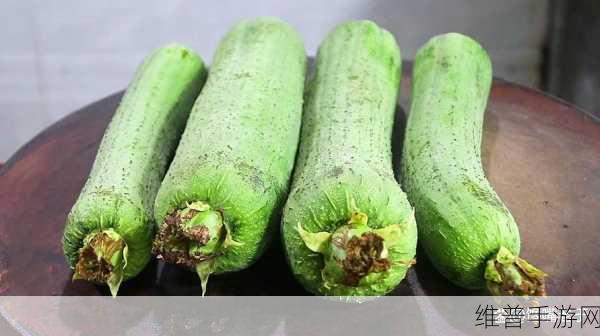 小猪草莓丝瓜深夜释放自己歌词让女主播每晚释放自己：当然可以！以下是一些根据“小猪草莓丝瓜深夜释放自己”主题拓展出的新