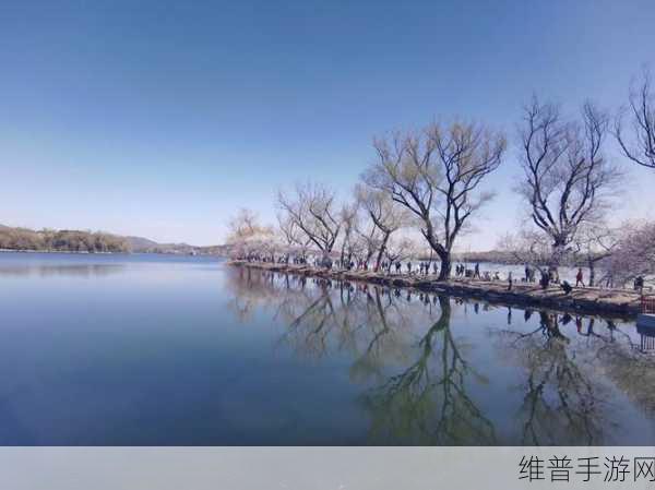 桃花洞口已是溪水潺潺：1. 桃花洞口溪水潺潺，春意盎然如诗画
