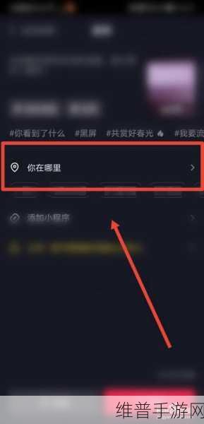 抖音手游攻略，如何精准设置你的位置信息
