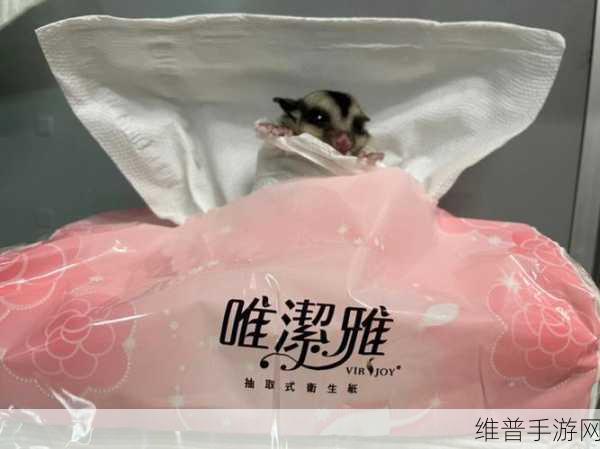 已满十八周岁带好卫生纸：1. 十八岁成人礼：准备好卫生纸的意义