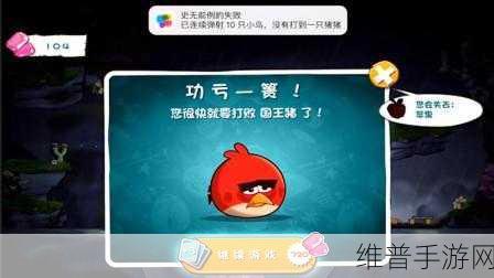 元气骑士光盘作用全解析，解锁游戏新体验