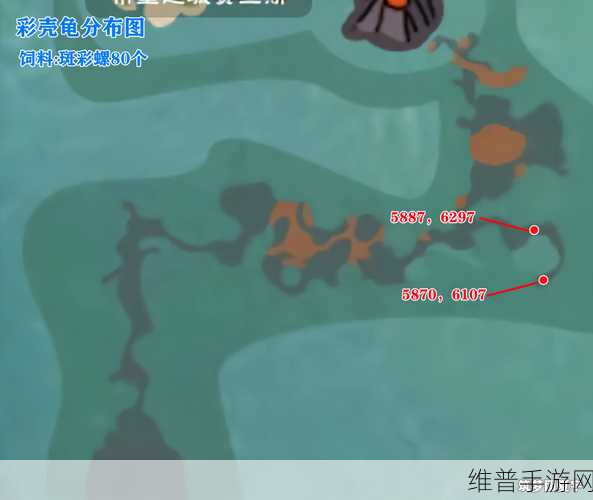 创造与魔法，彩壳龟和熔岩海龟位置全解析