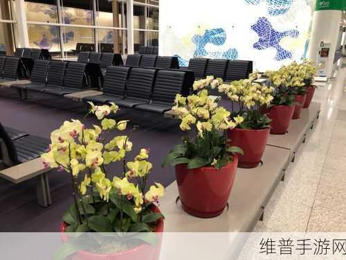 日韩码一码二码三码区别69：1. 深入解析日韩码一码二码三码的应用与区别