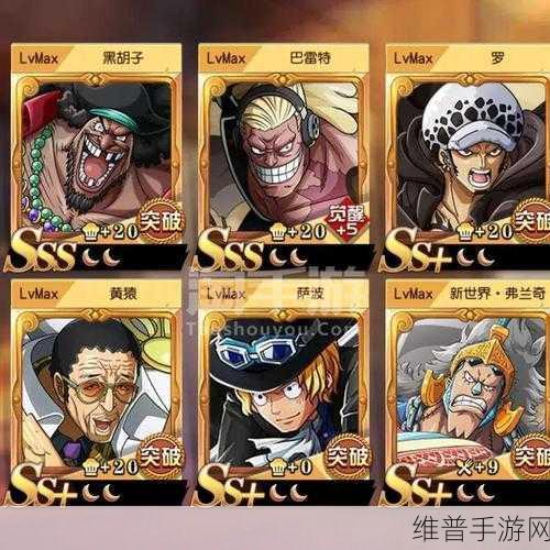 航海王启航，角色隐藏属性全解析，深入探索英雄潜能