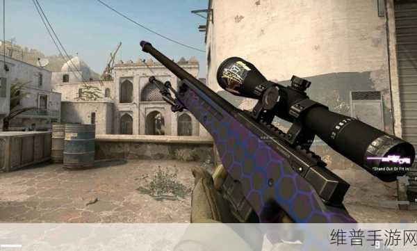 日本CSGO大姐姐AWP价格多少钱：1. 日本CSGO大姐姐AWP价格揭秘与市场走势