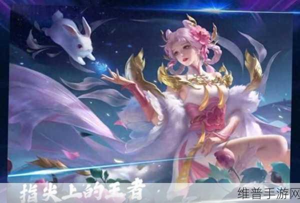 王者荣耀深度攻略，揭秘英雄克制关系，伽罗与嫦娥只是冰山一角