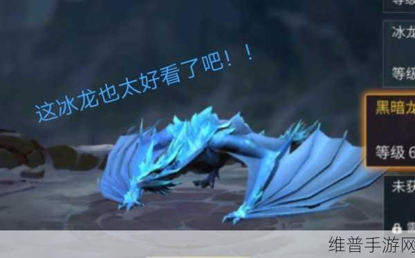 冰原守卫者,火龙与冰龙,谁是最佳伙伴