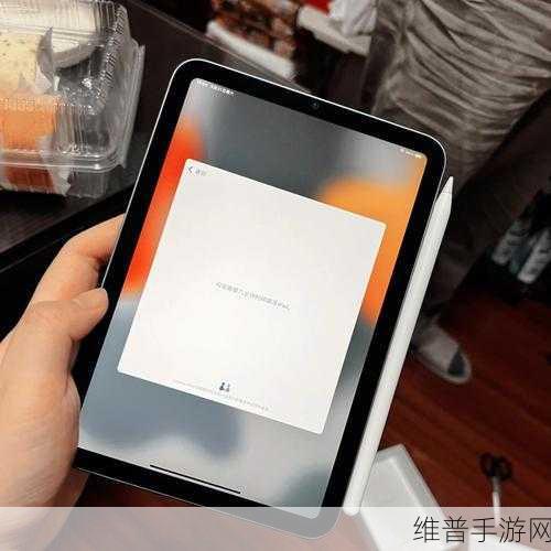 秘密入口MINI6的安全保护：1. 揭开秘密入口MINI6的安全保护之谜