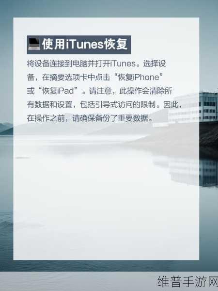 苹果 11 引导式访问在手游中的困境与解决之道