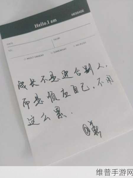 开始慢慢迎迎合：当然可以！以下是一些基于“开始慢慢迎合”主题的