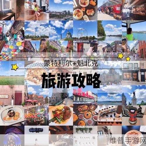 海岛奇兵资源速得秘籍，全方位获取攻略