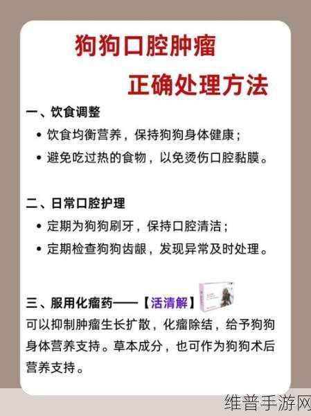 人狗胶配方大全狗狗：1. 狗狗健康饮食：全面解析人狗胶配方