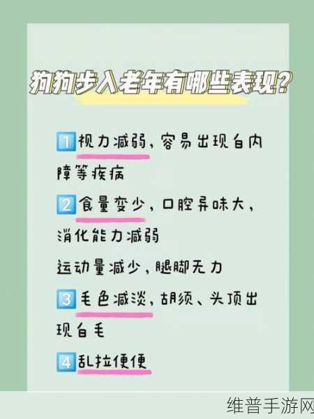 人狗胶配方大全狗狗：1. 狗狗健康饮食：全面解析人狗胶配方