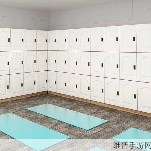 健身房浴室更衣柜：1. 健身房浴室更衣柜的设计与实用性探讨