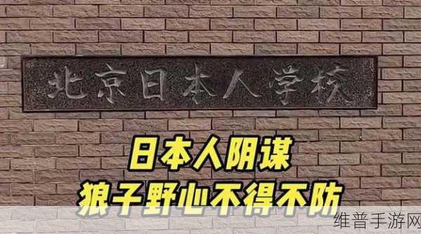 揭秘JAGNEXSMAX在日本的神秘面纱：揭秘JAGNEXSMAX：揭开其在日本神秘面纱的全过程