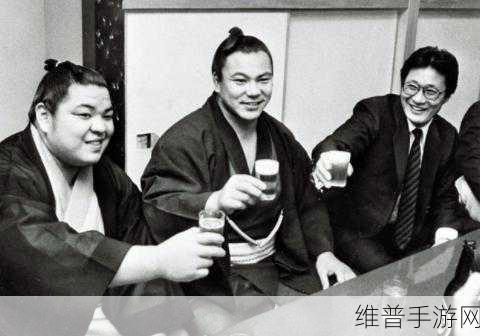 揭秘JAGNEXSMAX在日本的神秘面纱：揭秘JAGNEXSMAX：揭开其在日本神秘面纱的全过程