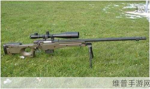 荒野行动，实用狙击枪推荐，助你精准制敌