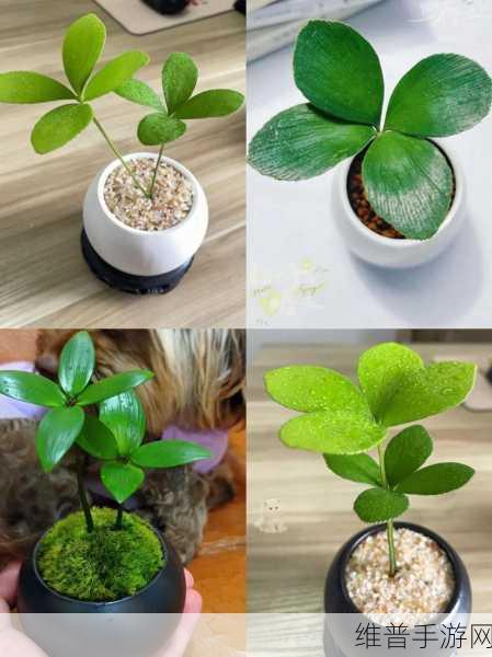 四叶草秘密研究所人口：1. 《四叶草秘密研究所：探索人口增长的奥秘