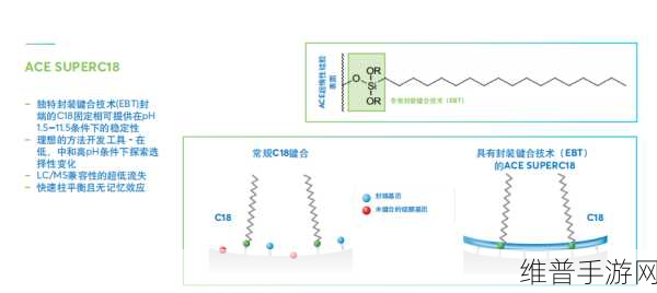 symmetryc18色谱柱：“基于Symmetry C18色谱柱的分离技术研究与应用”