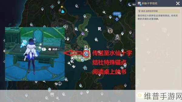 原神水仙之梦获取位置全攻略