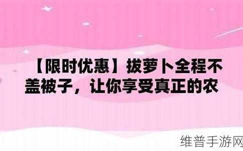 拔萝卜不盖被：1. 拔萝卜不盖被：团队合作的重要性