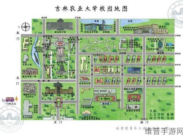 大学生生活指北：1. 大学生生活全攻略：从宿舍到课堂的指南