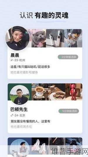 十大黄台禁用软件APP下载IOS：1.2023年十大禁用APP，保护你的iOS安全