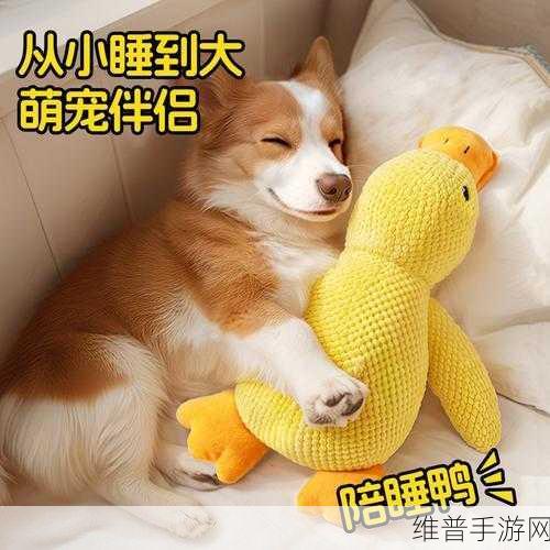 狗狗的东西又硬又烫:1. 狗狗的玩具:硬度和温度的完美结合