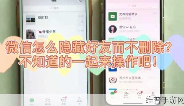 蜘蛛密友不付费可以用吗：1. 蜘蛛密友免费使用的秘密与技巧