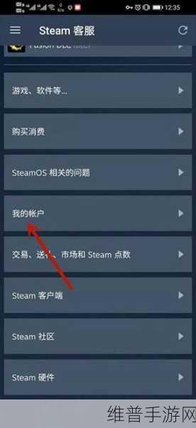 安卓用户寻找 Steam 下载的全面指南