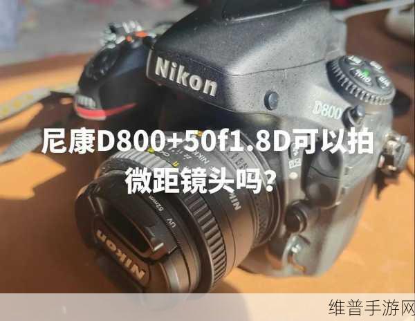 尼康D800发售价格：尼康D800发售价格解析与市场影响分析