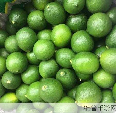 青柠在线观看免费观看高清画质高:1. 青柠在线观看:畅享高清画质的绝佳体验