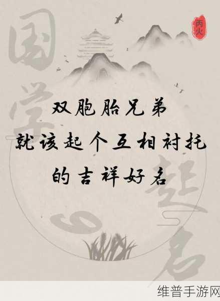 双胞胎夹心运动：1. 双胞胎夹心运动：探索身体与灵魂的双重契约
