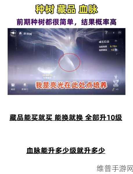 世界之外手游全方位评测与攻略指南