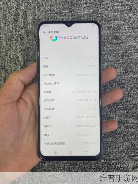 成色好的Y31S标准版下载：成色优良的Y31S标准版评测与使用心得分享