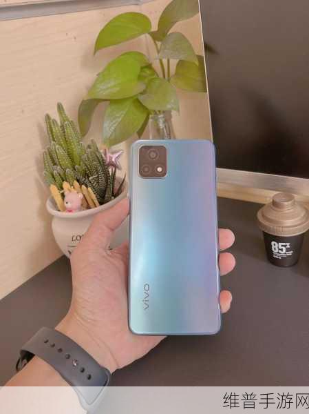 成色好的Y31S标准版下载：成色优良的Y31S标准版评测与使用心得分享