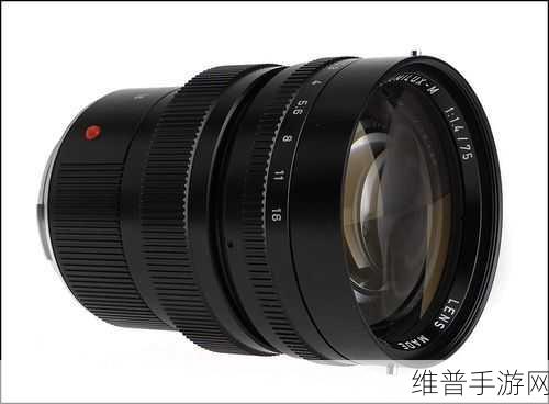 mda75r成色：1. MDA75R成色解析：探索其独特魅力与价值